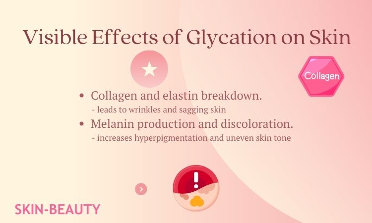 Effects of skin glycation.