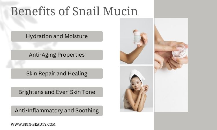 Benefits of snail mucin